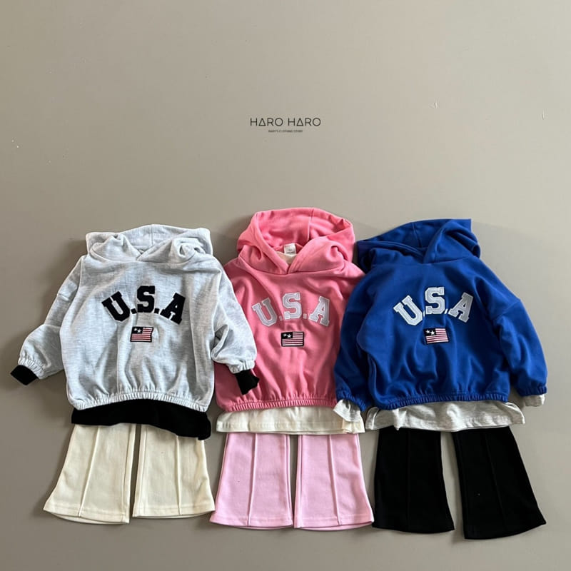 Haro Haro - Korean Children Fashion - #magicofchildhood - USA Hoody Tee - 6