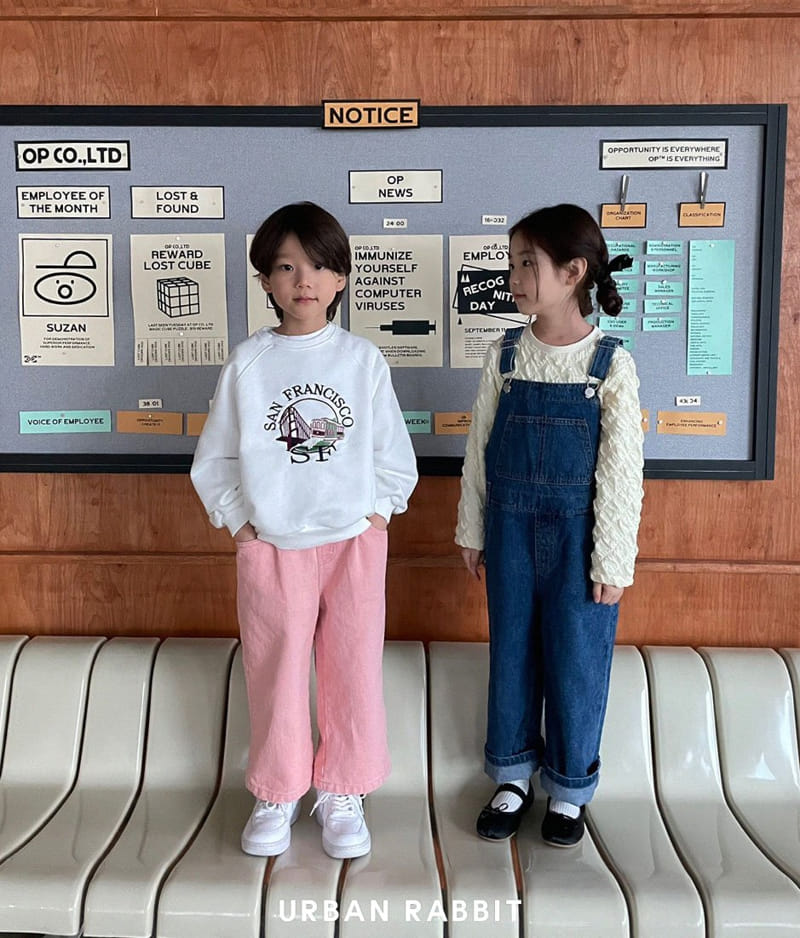Urban Rabbit - Korean Children Fashion - #prettylittlegirls - Sanfran Embrodiery SWEatshirt - 3