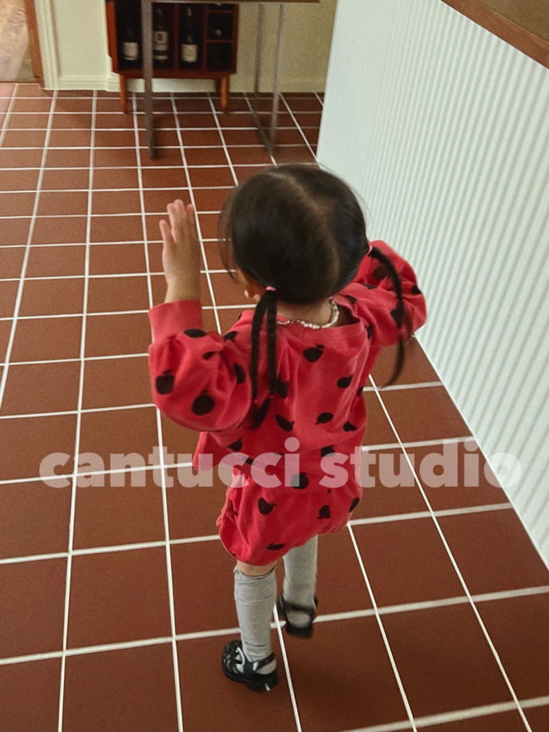 Cantucci Studio - Korean Children Fashion - #kidsstore - Apple Crop Tee - 7