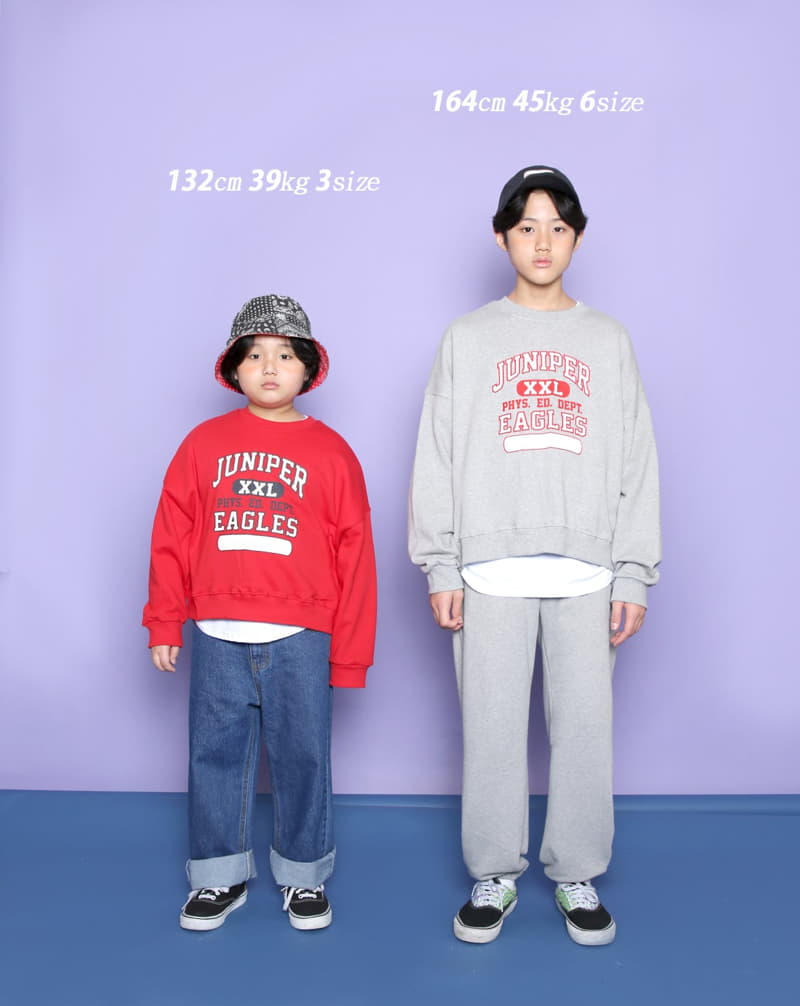 Jenny Basic - Korean Children Fashion - #kidzfashiontrend - Eagle Sweatshirt - 12