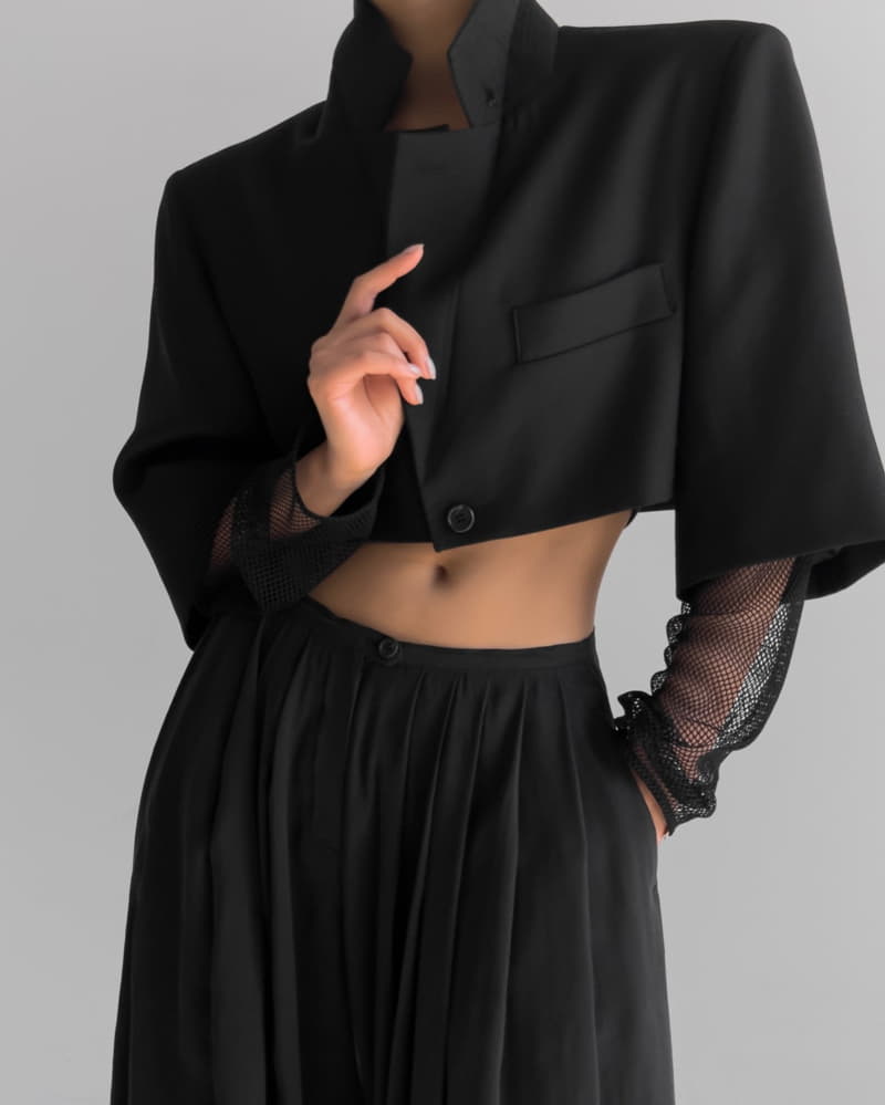 Paper Moon - Korean Women Fashion - #womensfashion - Mesh Sleeve Detail Crop Jacket - 9
