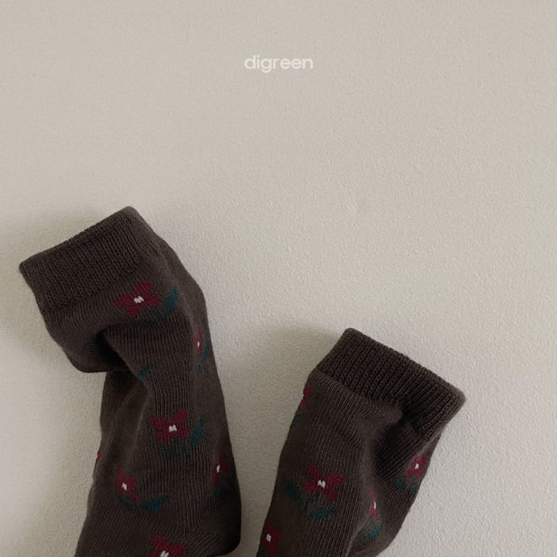 Digreen - Korean Children Fashion - #Kfashion4kids - Irem Socks - 5