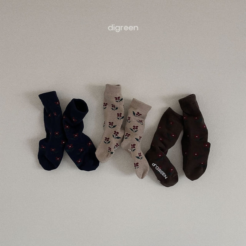 Digreen - Korean Children Fashion - #prettylittlegirls - Irem Socks - 9