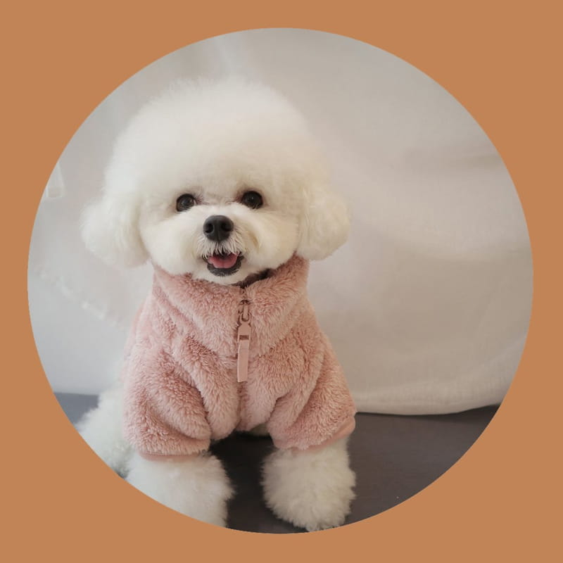Here I Am - Korean Children Fashion - #childrensboutique - Kinder Pet Fleece - 6