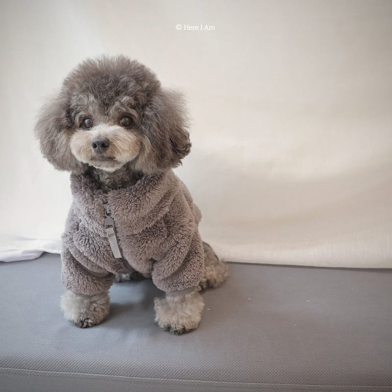 Here I Am - Korean Children Fashion - #fashionkids - Kinder Pet Fleece - 9