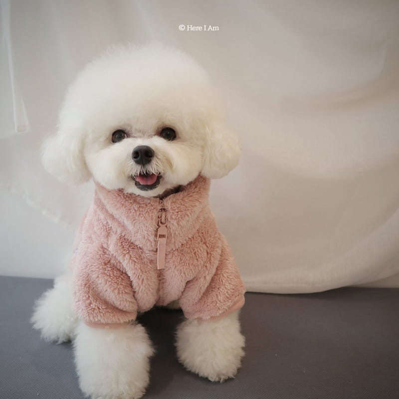 Here I Am - Korean Children Fashion - #kidzfashiontrend - Kinder Pet Fleece - 12
