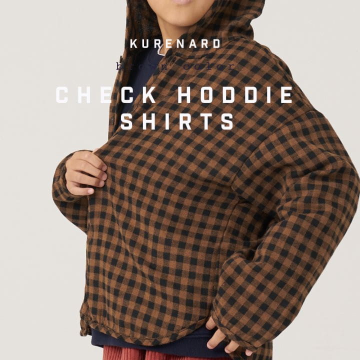 Kurenard - Korean Children Fashion - #toddlerclothing - Check Hoody Shirt - 2