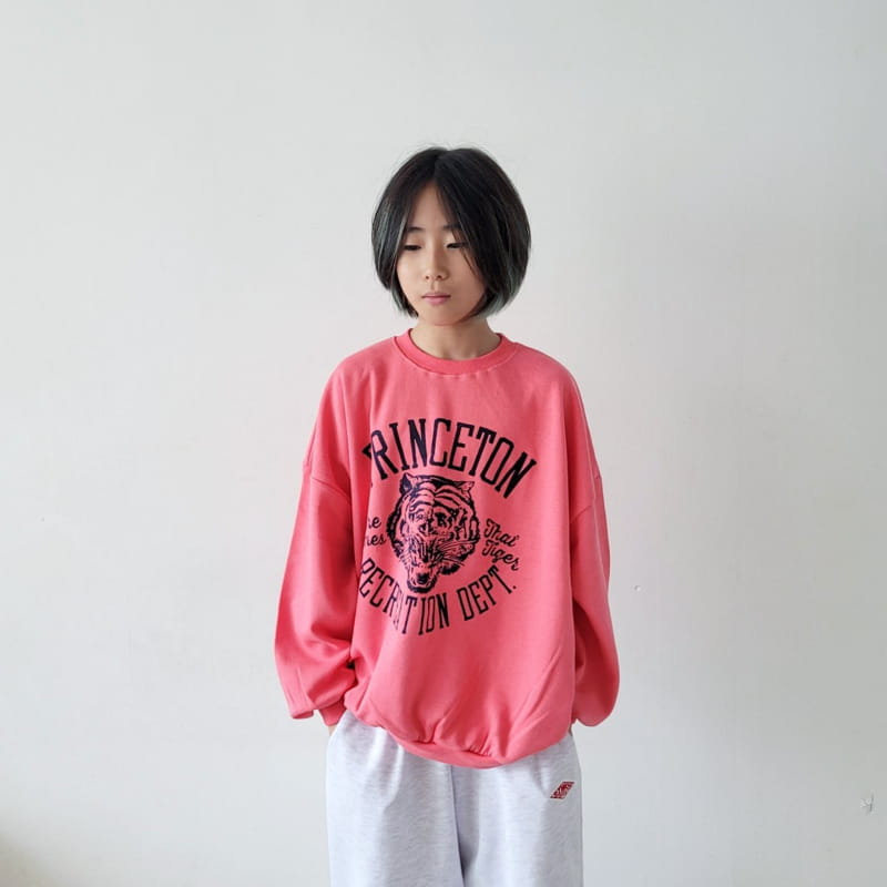 Riwoo Riwoo - Korean Junior Fashion - #kidsstore - Tiger Sweatshirt - 9