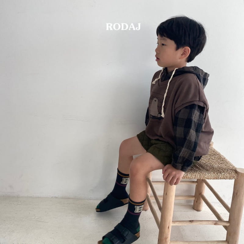 Roda J - Korean Children Fashion - #childofig - Millan Check Hoody - 7