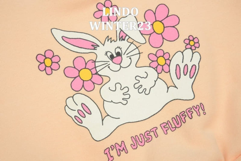 Lindo - Korean Children Fashion - #kidsstore - I Am Rabbit Sweatshirt - 5