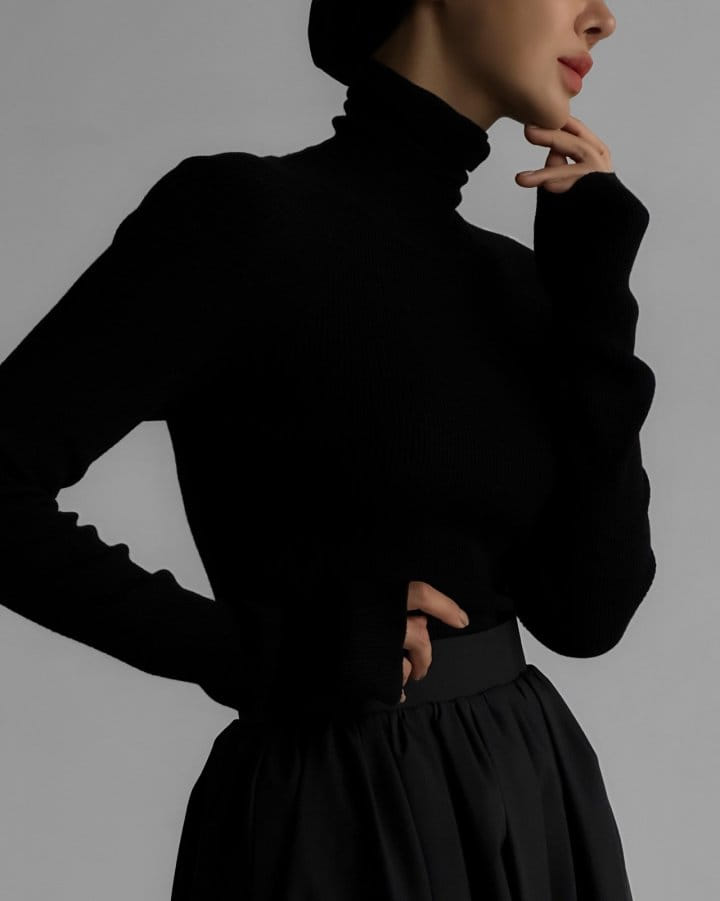 Paper Moon - Korean Women Fashion - #restrostyle - turtleneck ribbed knit top