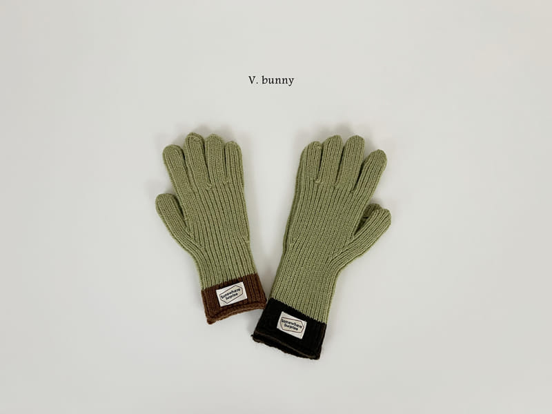 V Bunny - Korean Women Fashion - #momslook - Label Gloves With Adult - 11