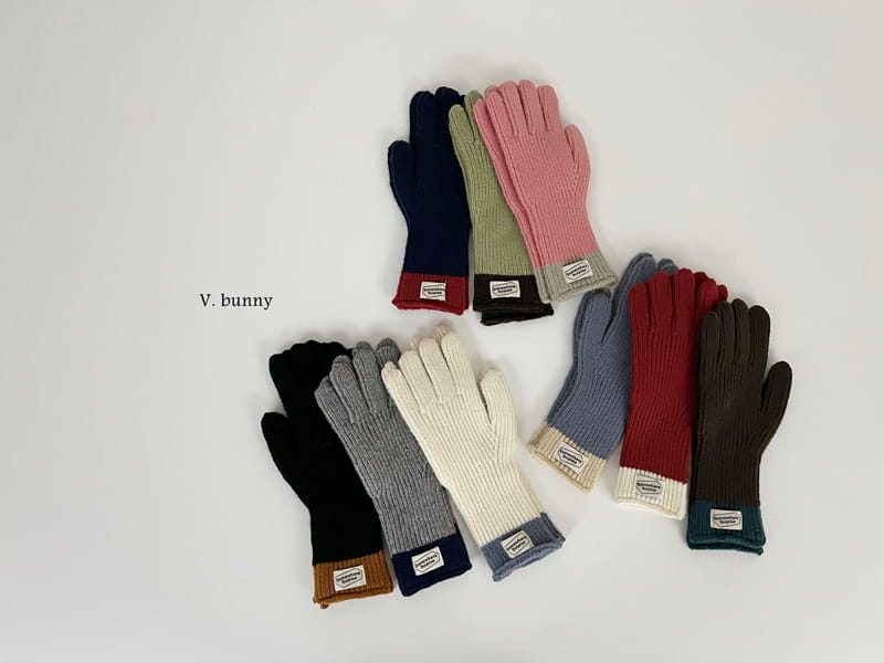 V Bunny - Korean Women Fashion - #momslook - Label Gloves With Adult - 7