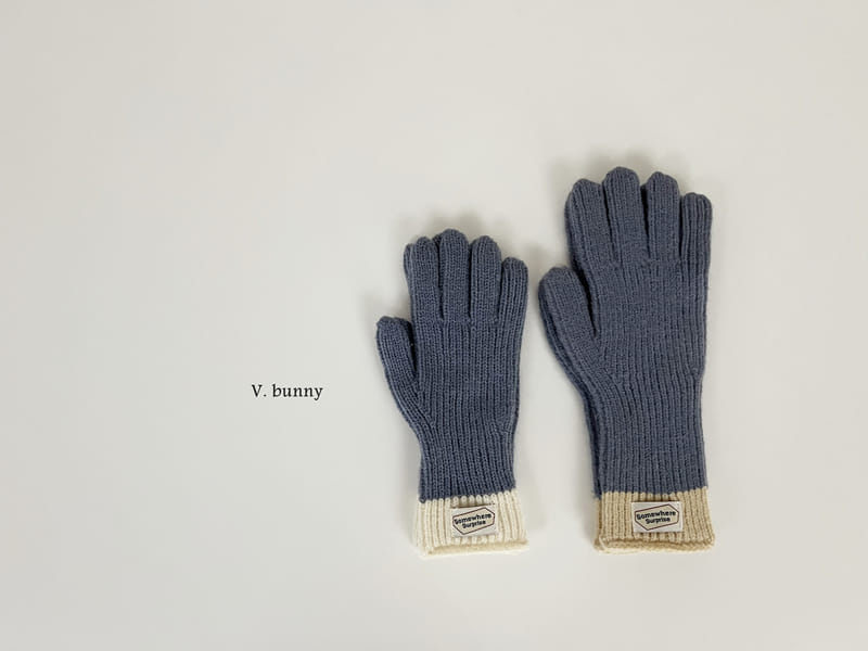 V Bunny - Korean Women Fashion - #momslook - Label Gloves With Adult - 9