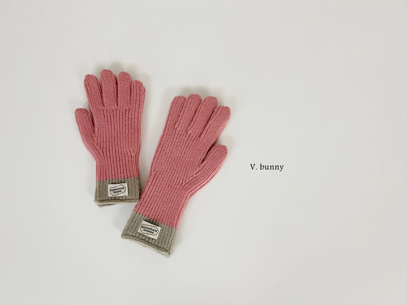 V Bunny - Korean Women Fashion - #womensfashion - Label Gloves With Adult - 10
