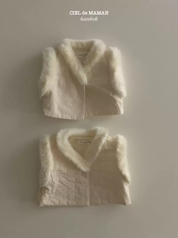 Mink Vest