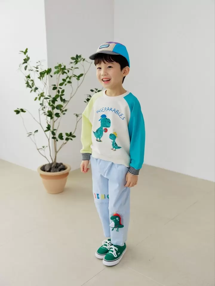 Dinosaur Span Baggy Pants