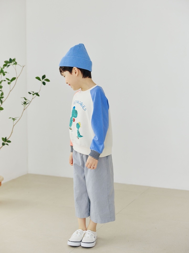 Dinosaur Color Tee