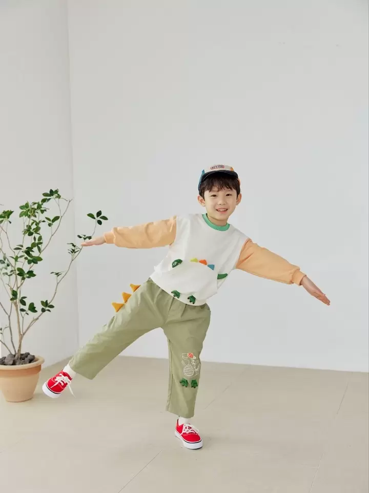 Dinosaur Pocket Sweatshirt