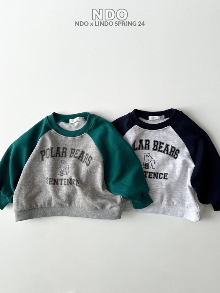 Polar Color Sweatshirt Polar Color Sweatshirt