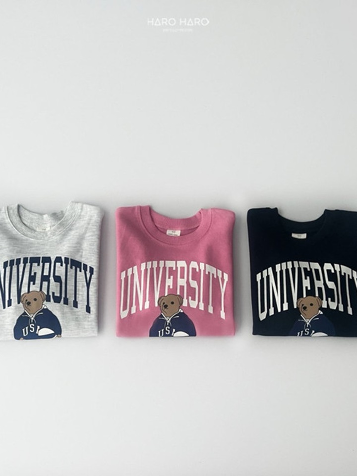 USA Sweatshirt