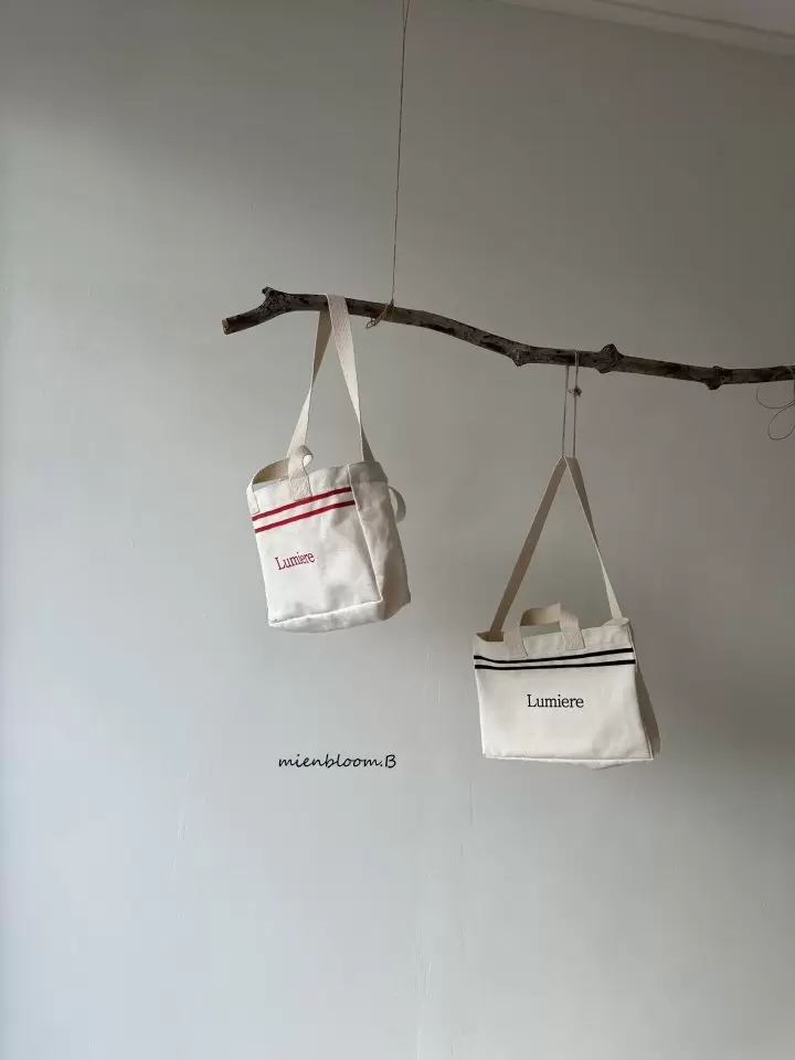 Lumiere Bag