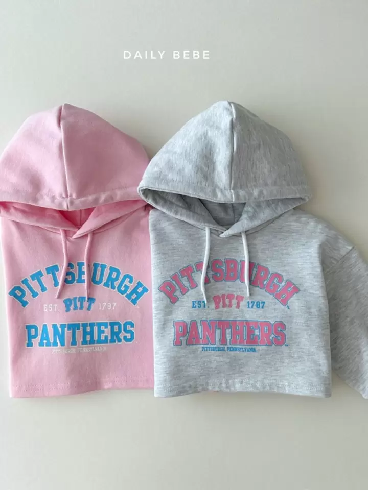 Pittsburgher Hoody Tee Pittsburgher Hoody Tee