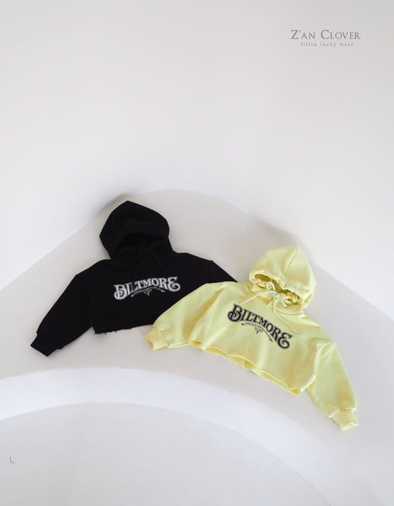 Zan Clover - Korean Children Fashion - #discoveringself - Biltmore Hoody - 2