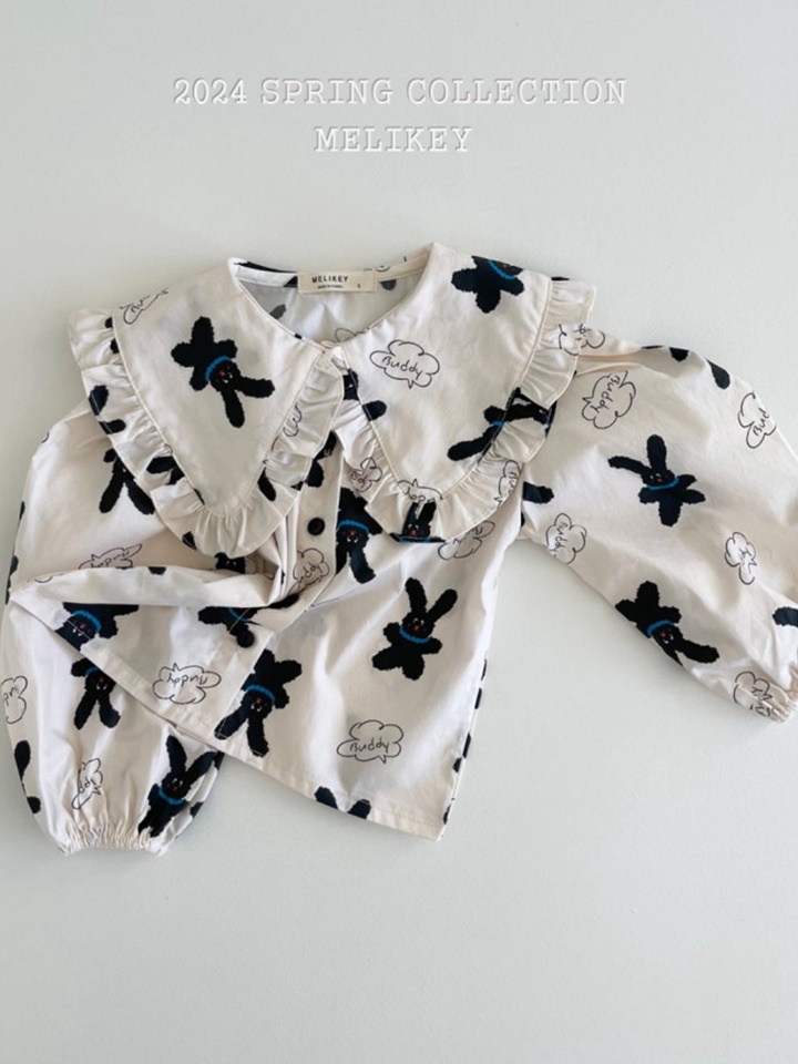 Frill Carrcak Blouse