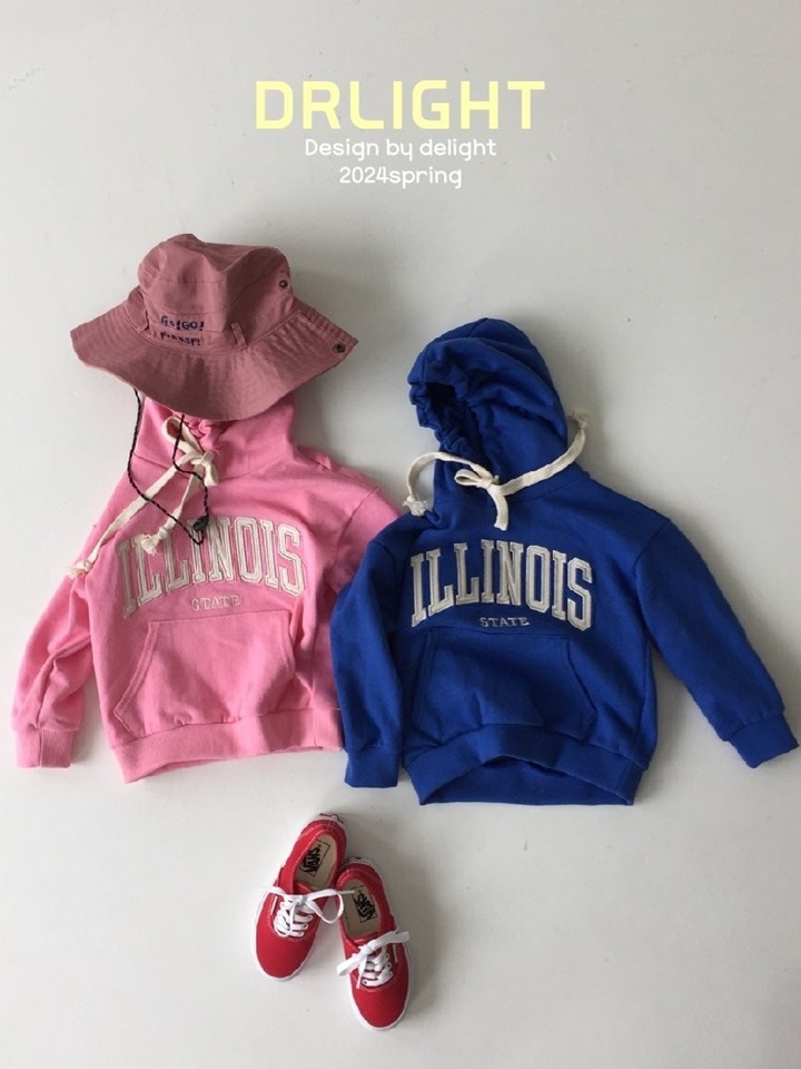 Illinois Embroidery Hoody Illinois Embroidery Hoody