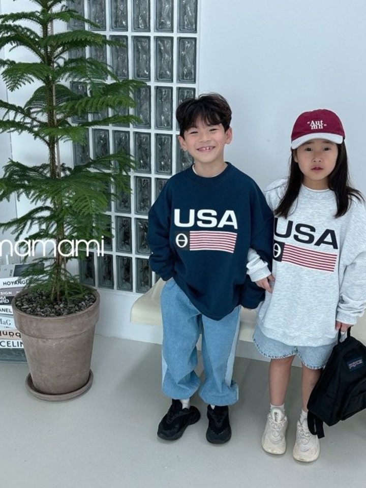 USA Sweatshirt