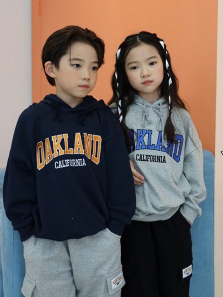 Land Hoody