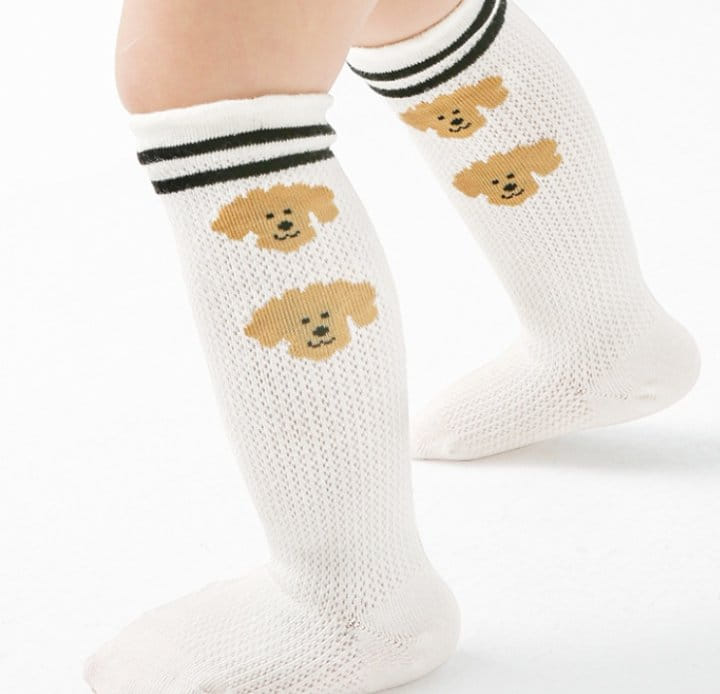 Miso - Korean Children Fashion - #childrensboutique - Arong Banjang Set - 5
