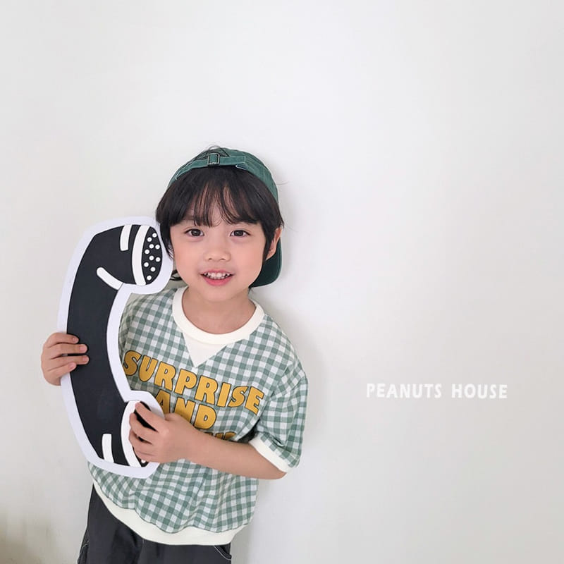 Peanuts - Korean Children Fashion - #minifashionista - Check Tee - 3