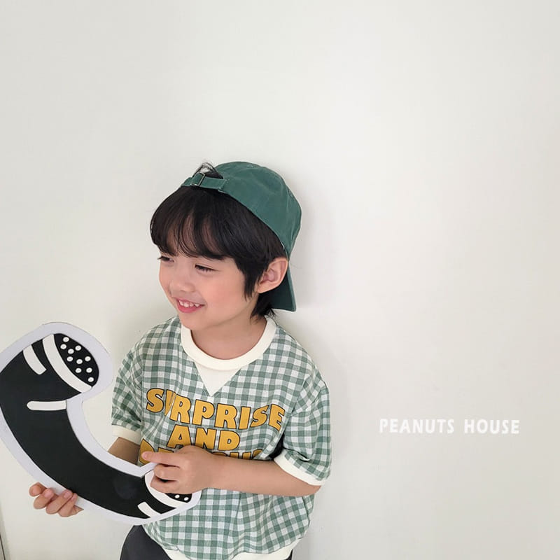 Peanuts - Korean Children Fashion - #minifashionista - Check Tee - 4