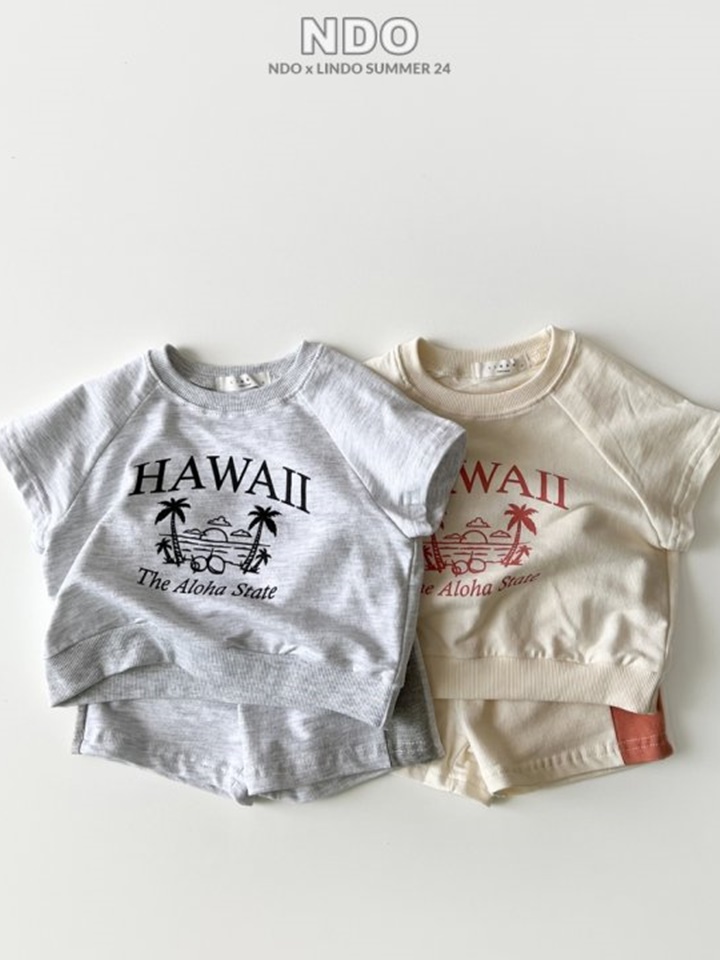 Hawaii Top Bottom Set Hawaii Top Bottom Set