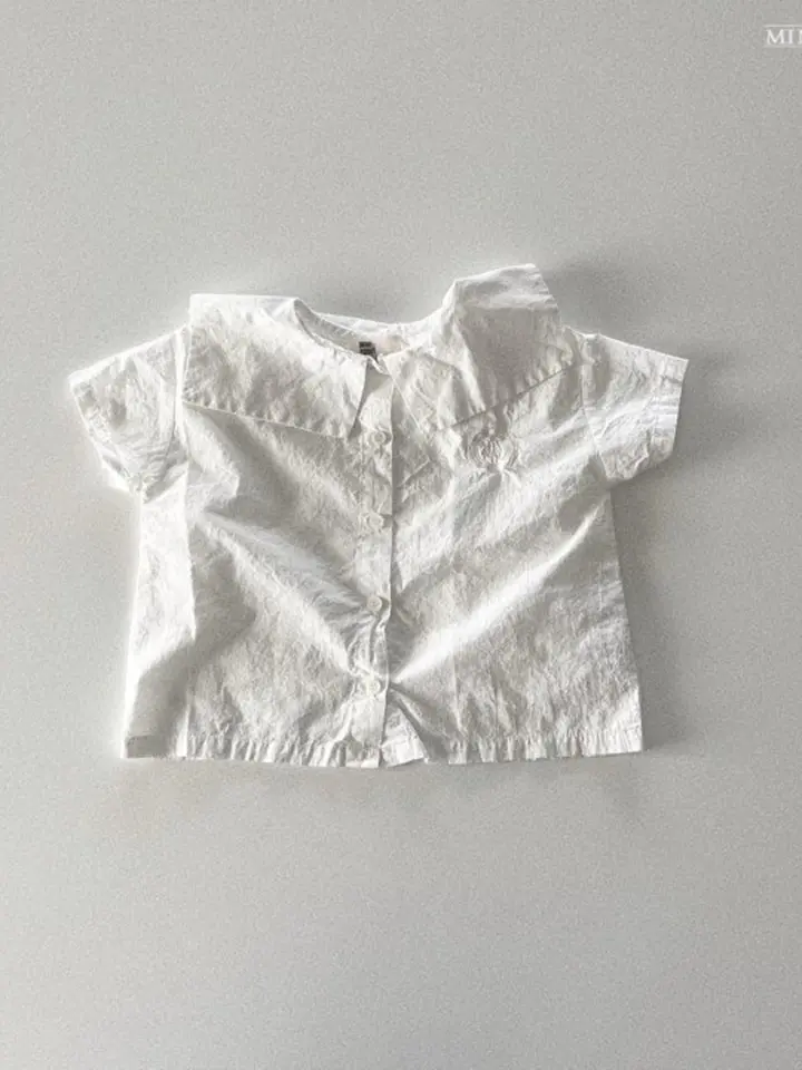 Pure Embroidery Blouse