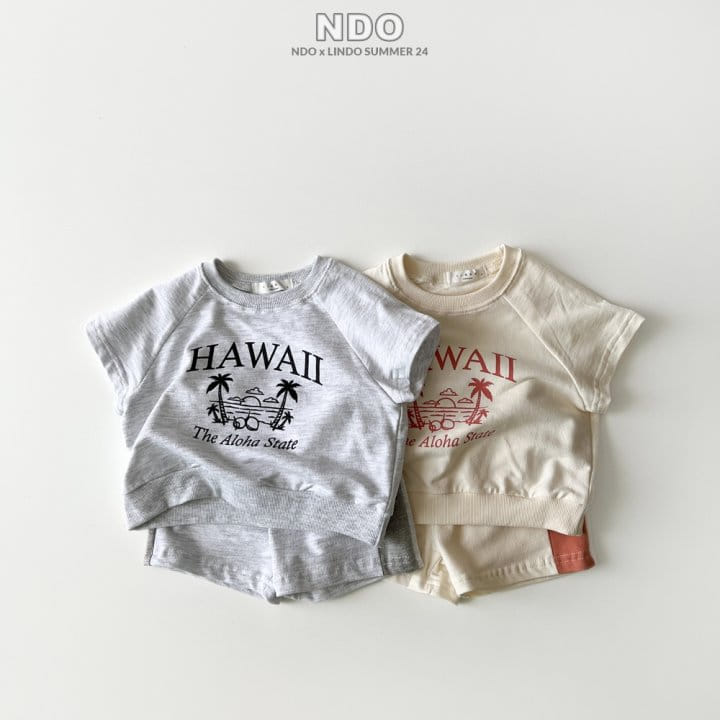 Lindo - Korean Children Fashion - #childofig - Hawaii Top Bottom Set