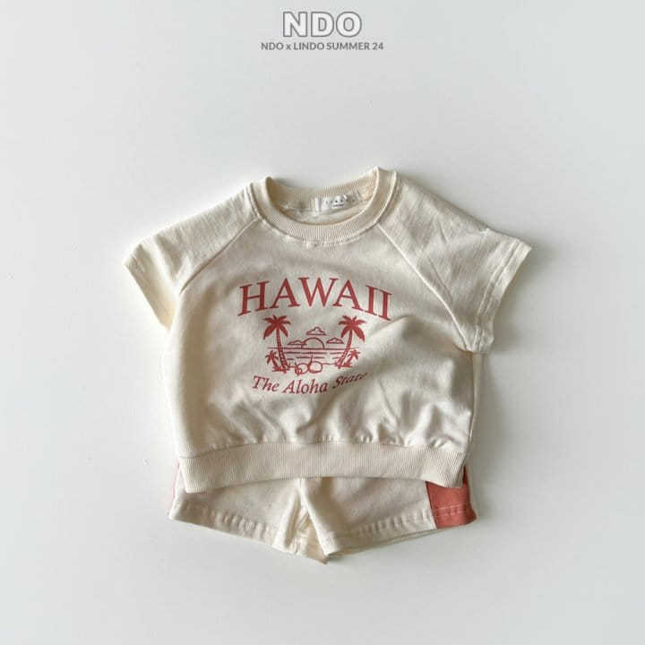Lindo - Korean Children Fashion - #designkidswear - Hawaii Top Bottom Set - 3