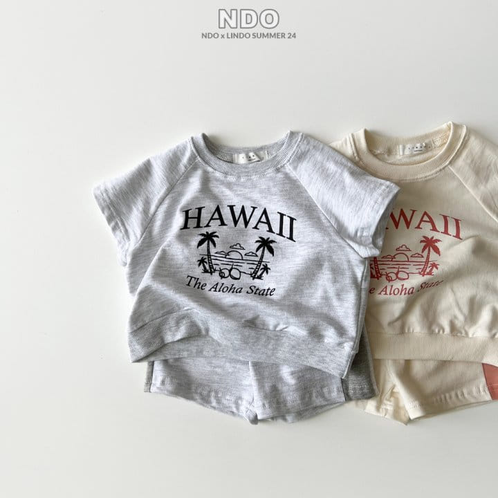 Lindo - Korean Children Fashion - #designkidswear - Hawaii Top Bottom Set - 4
