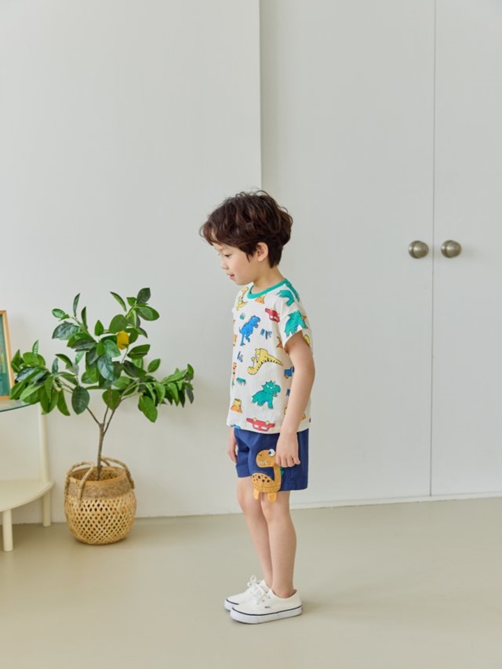 Solid Dinosaur Span Pants Solid Dinosaur Span Pants