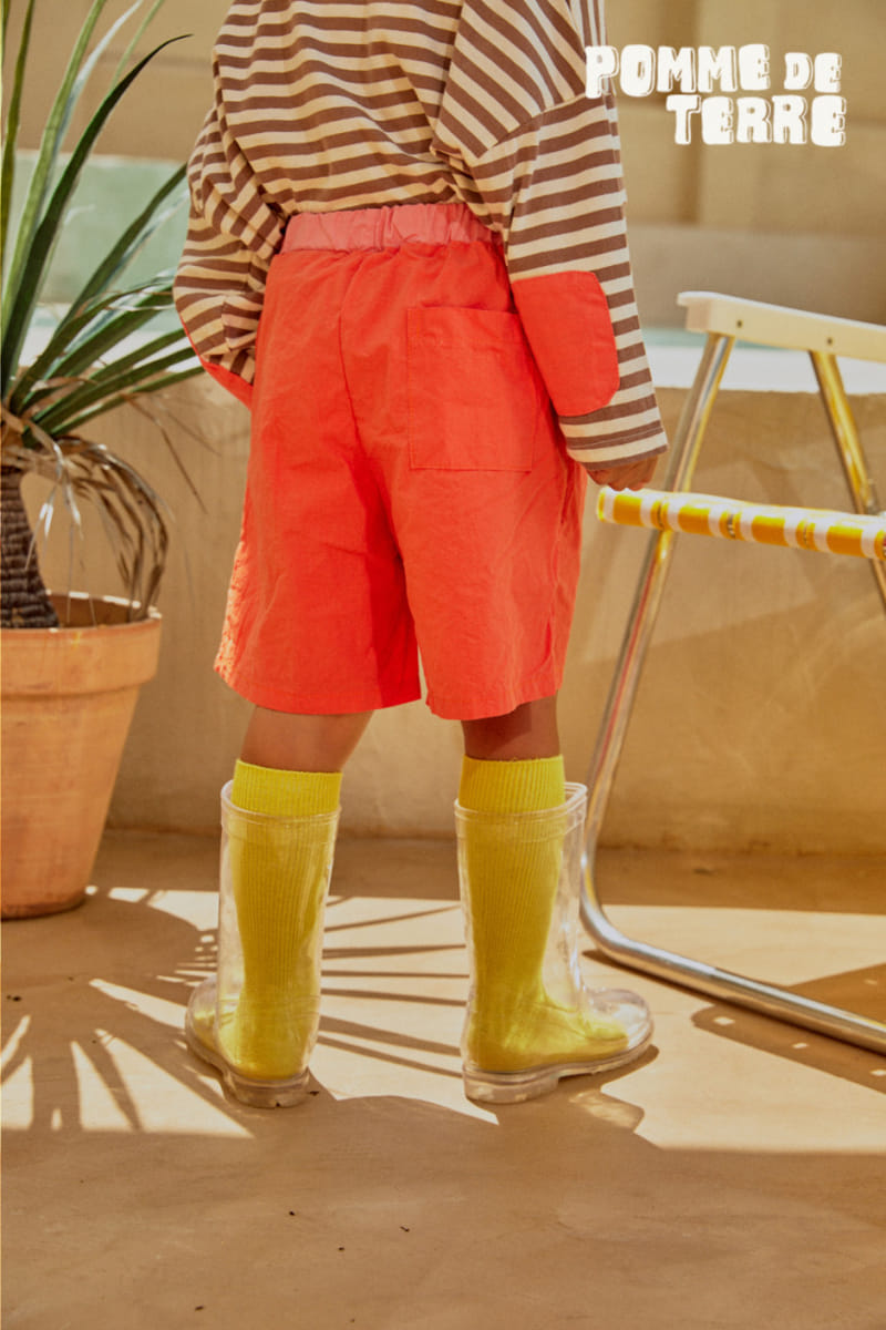 Pomme de terre - Korean Children Fashion - #Kfashion4kids - Color shorts - 10