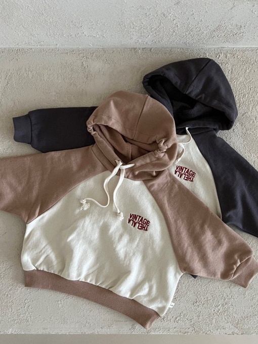 Vintage Hoodie Vintage Hoodie