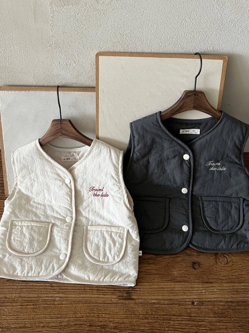 Travel Vest