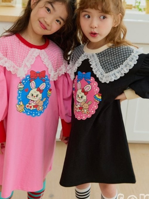Lace Collar Dress Lace Collar Dress