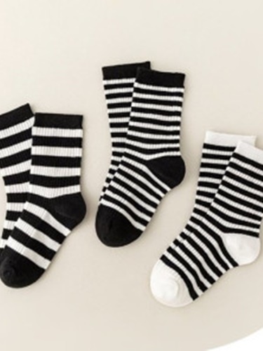 Papillon Socks Set