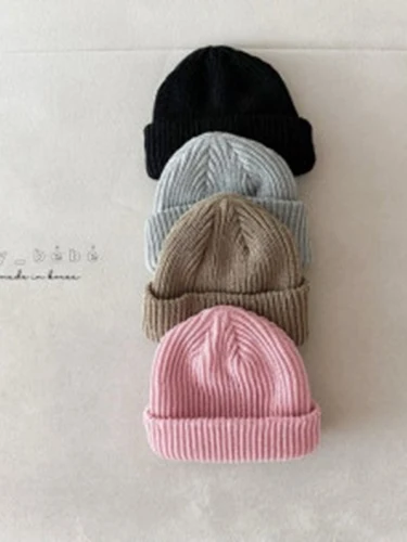 Fall Basic Beanie
