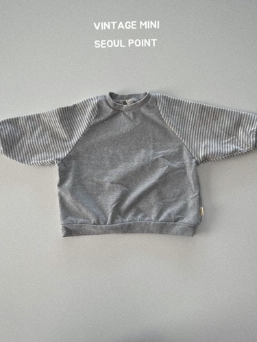 Sleeve Stripe Pullover
