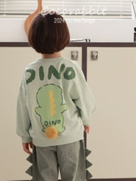 Back Dino Swaetshirts