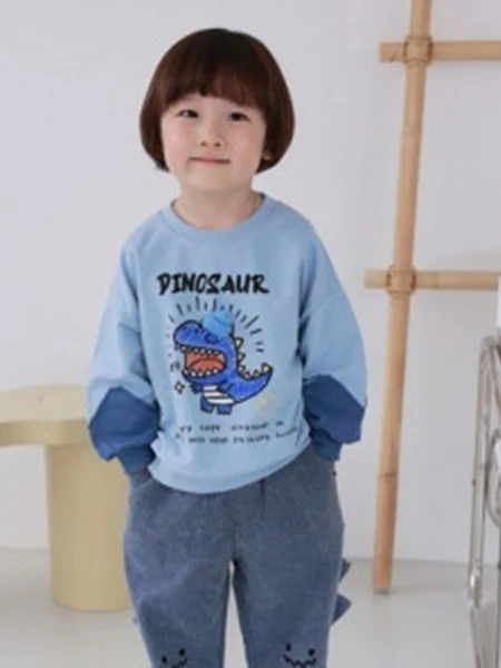Sleeve Colore Dino Sweatshirts
